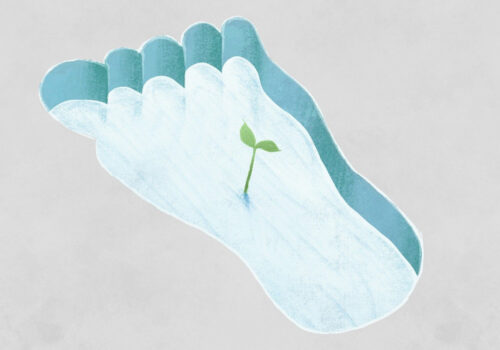 Auf einer grauen Fläche ist ein Fußabdruck zu sehen, gefüllt mit Wasser. In ihm wächst ein kleines Pflänzchen.