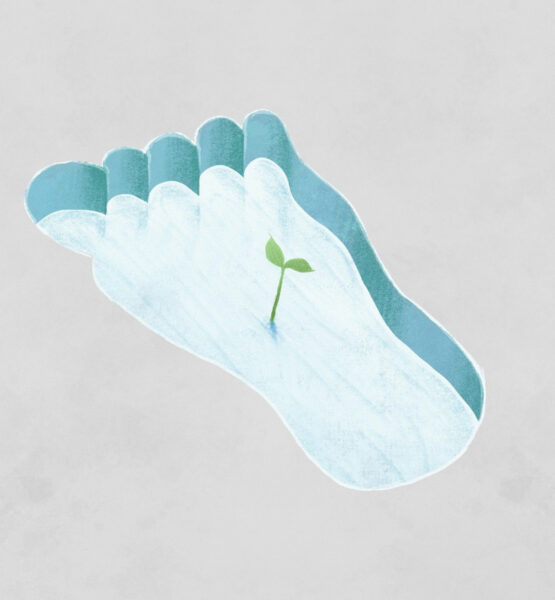 Auf einer grauen Fläche ist ein Fußabdruck zu sehen, gefüllt mit Wasser. In ihm wächst ein kleines Pflänzchen.