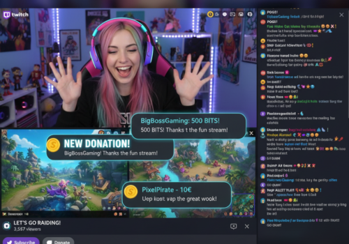 Bild 1:1, Bildschirm inhalt, dort ist eine twitch streamerin, die mit ihrem Chat interagiert und von ihm Donations kriegt