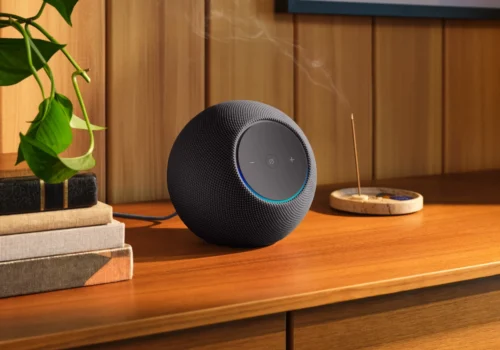 Ein Echo Studio steht auf einem Holztisch zwischen einer Zimmerpflanze und Räucherwerk.