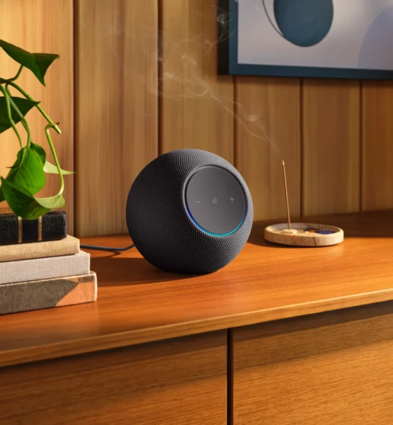 Ein Echo Studio steht auf einem Holztisch zwischen einer Zimmerpflanze und Räucherwerk.