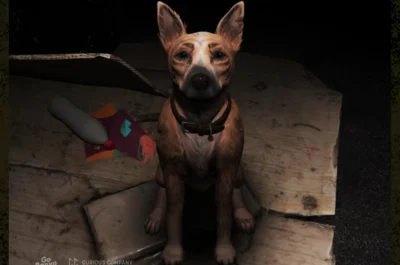 Ein Hund mit aufmerksamen, leicht traurigen Augen sitzt auf zusammengelegten Pappkartons in einer dunklen Umgebung. Neben ihm liegen eine leere Flasche und ein Stück Stoff, was auf Obdachlosigkeit hinweist.