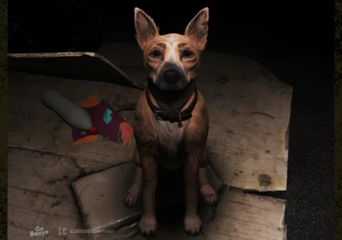 Ein Hund mit aufmerksamen, leicht traurigen Augen sitzt auf zusammengelegten Pappkartons in einer dunklen Umgebung. Neben ihm liegen eine leere Flasche und ein Stück Stoff, was auf Obdachlosigkeit hinweist.