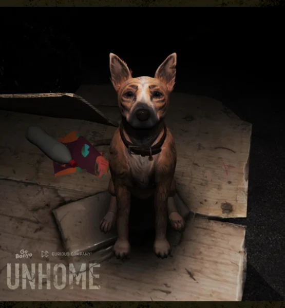 Ein Hund mit aufmerksamen, leicht traurigen Augen sitzt auf zusammengelegten Pappkartons in einer dunklen Umgebung. Neben ihm liegen eine leere Flasche und ein Stück Stoff, was auf Obdachlosigkeit hinweist.