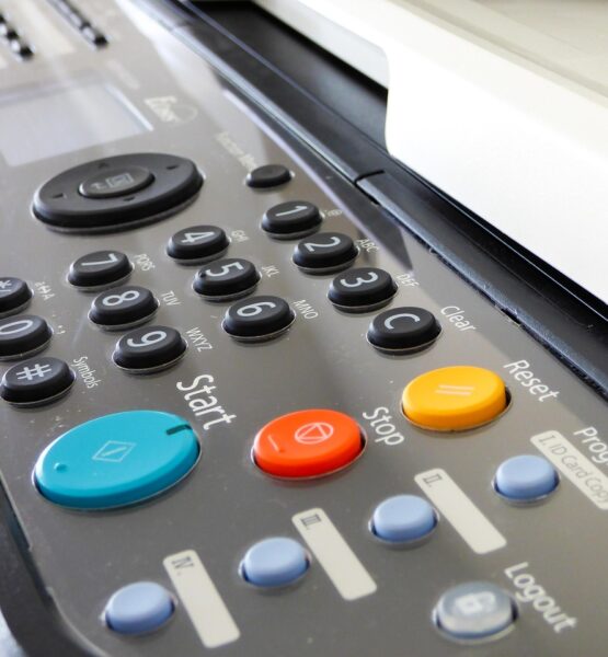 Afbeelding van Zoltan Matuska via Pixabay