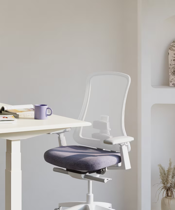 Ergonomischer Bürostuhl FlexiSpot Sheer Chair