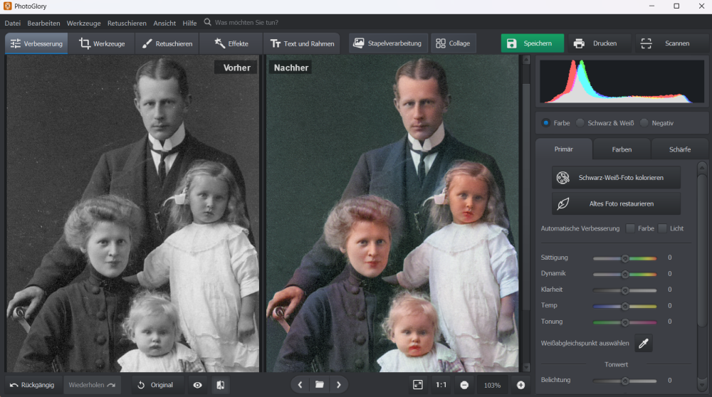 Screenshot der Software PhotoGlory mit Vorher/Nachher-Ansicht: links ein Schwarz-Weiß-Familienporträt (Mann, Frau, zwei Mädchen, Baby), rechts dieselbe Szene KI-koloriert mit dunkelgrünem Hintergrund und warmen Hauttönen. Rechts das Bedienfeld mit Histogramm, Optionen „Farbe/Schwarz & Weiß/Negativ" sowie Reglern für Sättigung, Dynamik, Klarheit, Temperatur und Tonung.