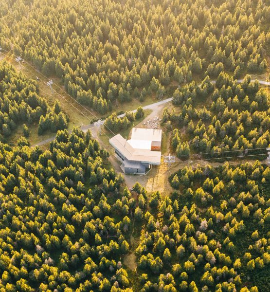 Ein Rechenzentrum im Wald, umgeben von Bäumen