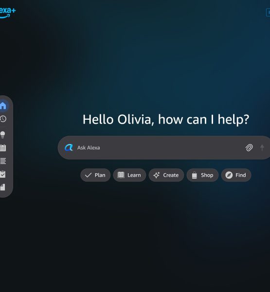 Oberfläche der Alexa-Webapp, die stark an Chat-KIs erinnert.